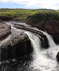 Местный пейзаж
