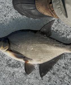 Рыболовный тур в Иркутской области