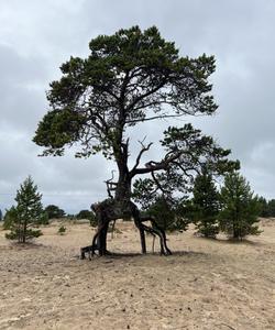 Экскурсия на Терский берег