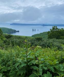 Авачинская бухта