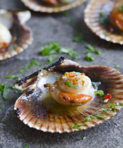 морепродукты