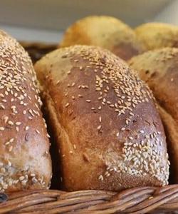 Гастротур в Липецкую область