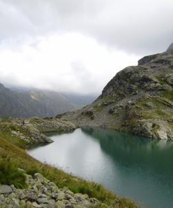 Местный пейзаж