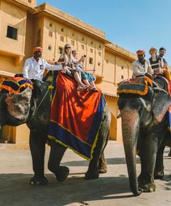 Катание на слонах