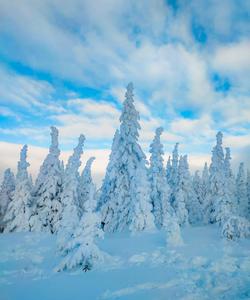 Зимний треккинг на Урале