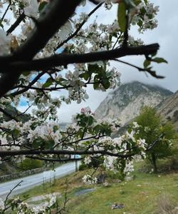 тур на Кавказ