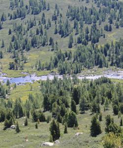 Горный Алтай