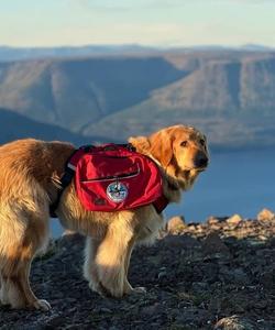 поход на плато Путорана