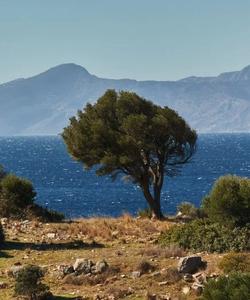 Побережье Эгейского моря