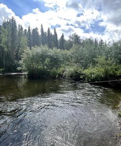 Рыбалка на сибирской реке