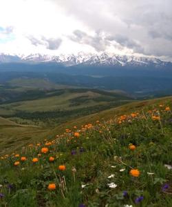 Тур на Алтай