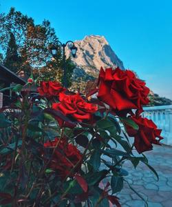 Новый Свет в Крыму