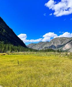 Тур на Алтай