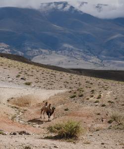 Экскурсия на Алтайский Марс