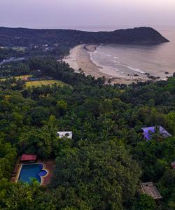 Местный пейзаж