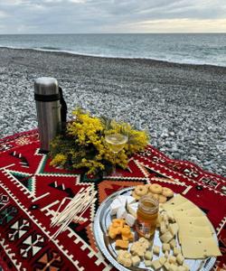 Пикник на берегу