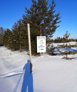 Катание на лыжах в Архангельской области