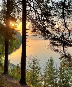 Местный пейзаж