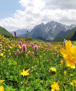 Горный поход по Северной Осетии