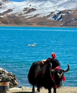 Озеро Ямдрок