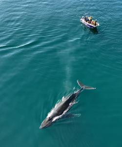 Тур-экспедиция на Чукотку