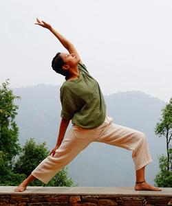 Йога в Гималаях