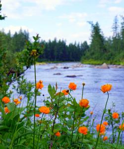 Тур на плато Путорана