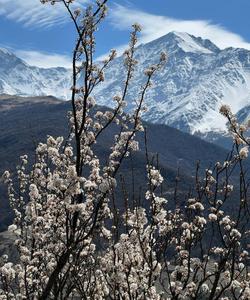 Тур на Кавказ