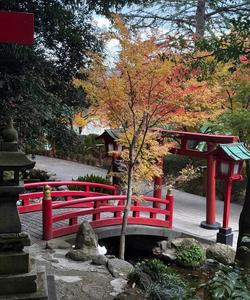 Тур по Японии 