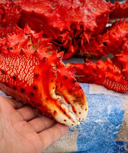 Крабовый рынок на Сахалине