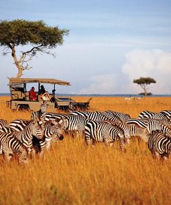 Сафари в Занзибаре