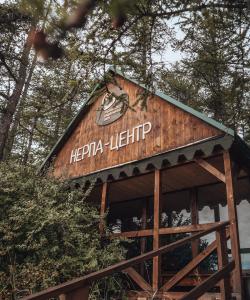 Нерпа-центр