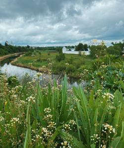 тур по Золотому кольцу