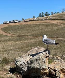 Остров Ольхон