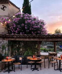 Тур в Прованс