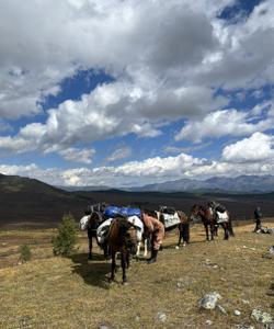 Конный поход на Алтае
