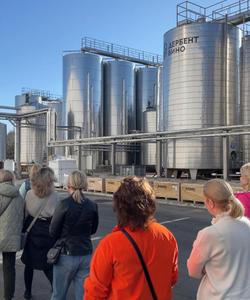 тур на винный завод