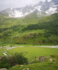 Треккинг в Дигорском ущелье