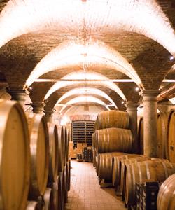 Итальянсике вина