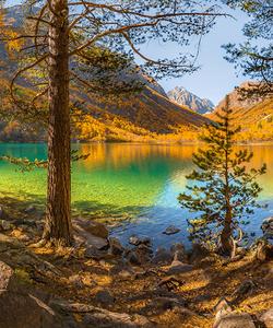 Местный пейзаж