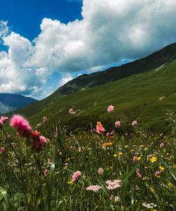 Горный пейзаж
