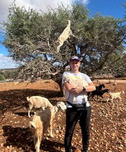 Древесные козы в Марокко