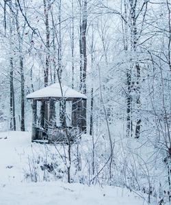 зимний тур в Марий Эл