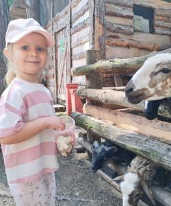 Ульяновский зоопарк