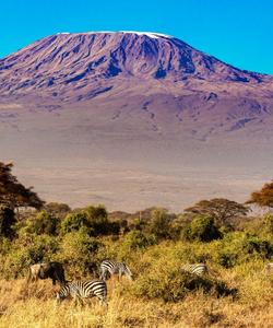 Килиманджаро в Амбосели