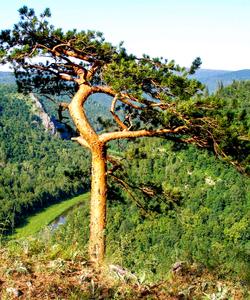Сплав по реке Белой