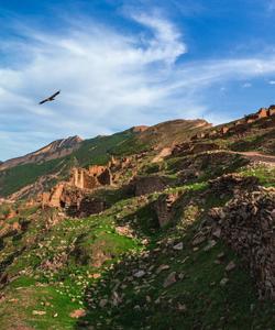 Старый Гоор