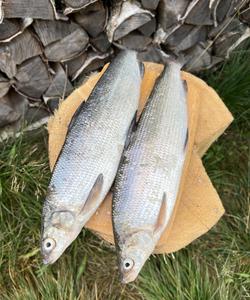 рыболовный тур в Мурманской области