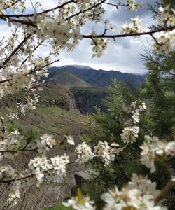 Горы Армении