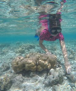 Снорклинг в Индийском океане